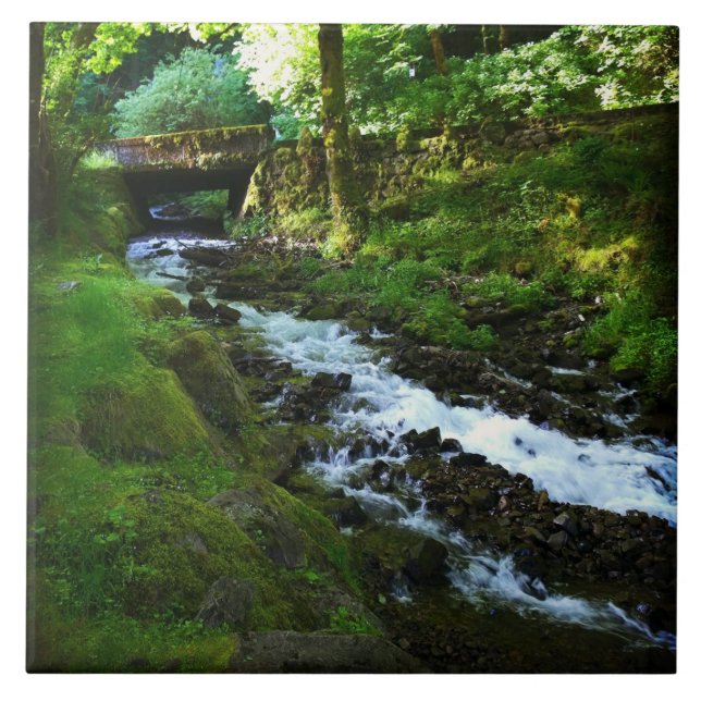 Utbrott från Wahkeena Falls, ELLER Kakelplatta (Framsidan)