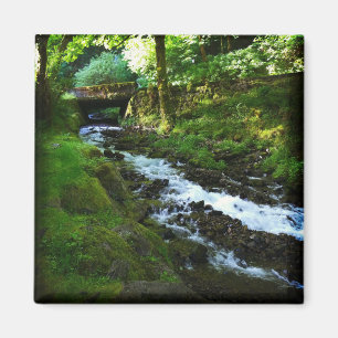 Utbrott från Wahkeena Falls, ELLER Magnet