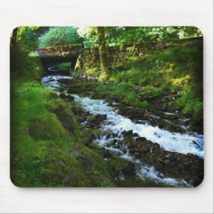 Utbrott från Wahkeena Falls, ELLER Musmatta