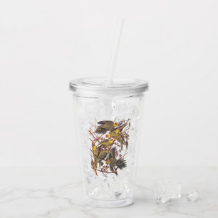 Utdöda Carolina Parakeets Vintage Art Take Away Mugg