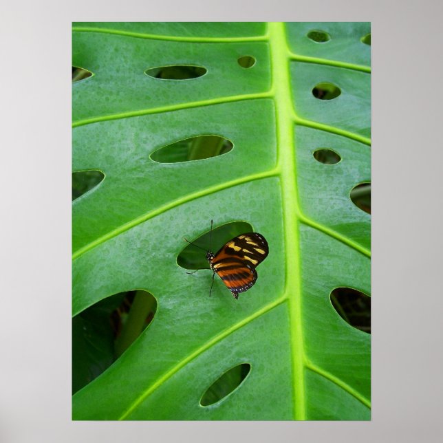 Ute på golfbanan poster (Framsidan)