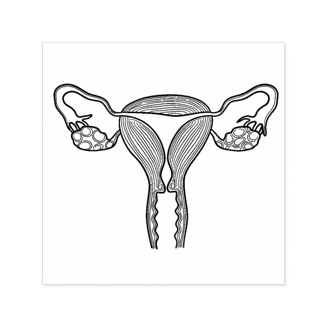 Uterus Birth Rubber Frimärke Självfärgande Stämpel (Design)