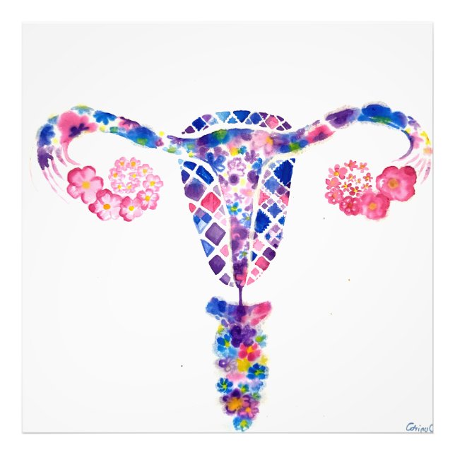 Uterus Fototryck (Framsidan)
