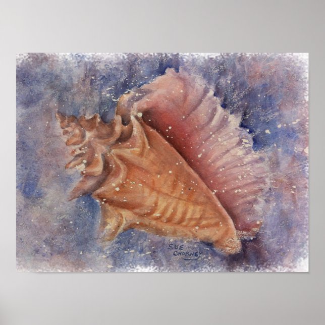Utestående Snäcka för Conch Beach Poster (Framsidan)