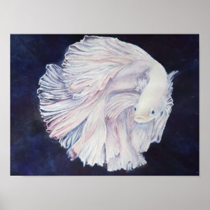 Utestående vitfiskfisk poster