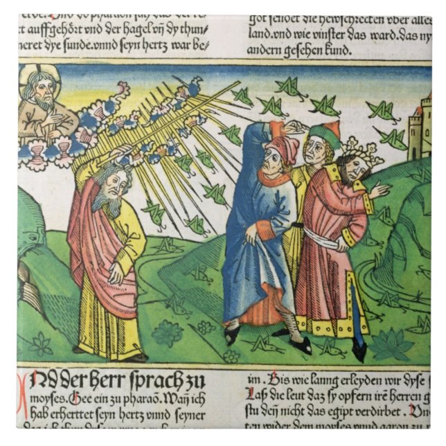 Utflyttning10:1 - 20 de sju epidemierna av kakelplatta (Framsidan)