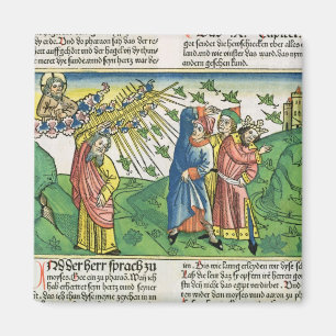 Utflyttning10:1 - 20 de sju epidemierna av magnet