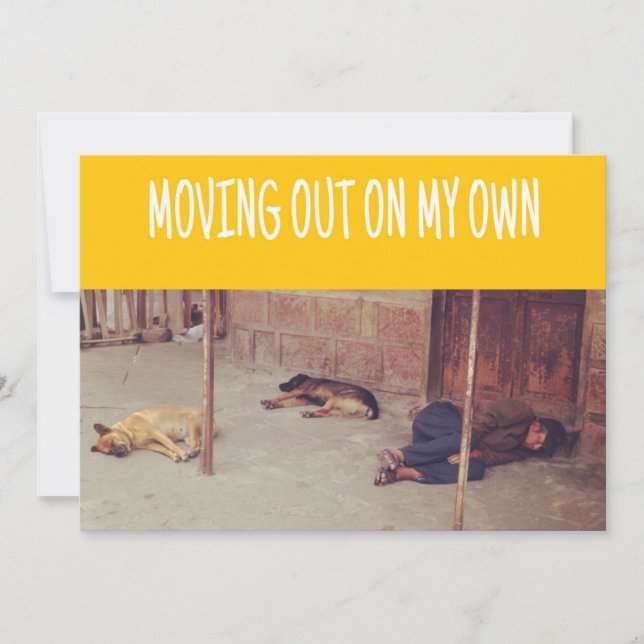 Utflyttningsmeddelande (man och hundar på gatan) meddelande (Framsida)