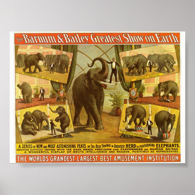 Utför Elephants Barnum & Bailey Circus-Poster Poster (Framsidan)