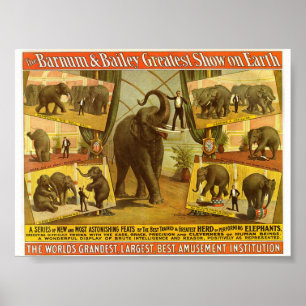 Utföra elefanter Barnum & borggårdcirkusaffischen Poster