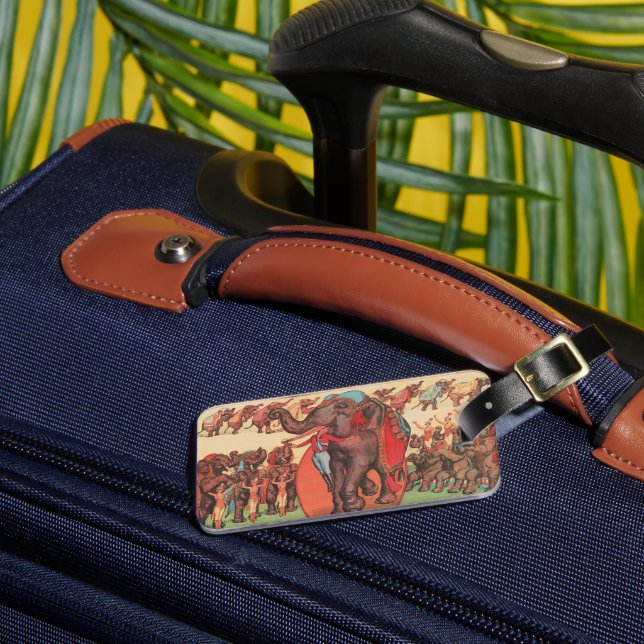 Utföra elefanter med kvinnor och tränare. bagagebricka (Framsida Insitu 3)