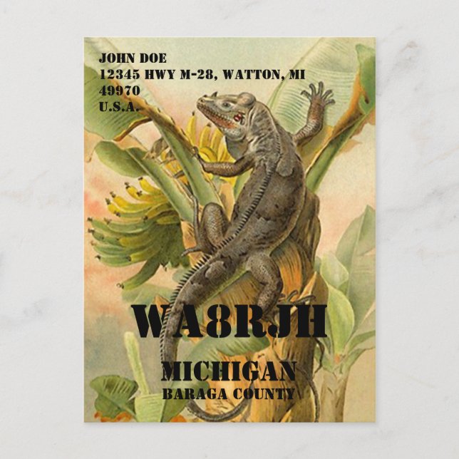 Utforma din egen QSL HAM-radiooperatör Op Frog Vykort (Framsida)