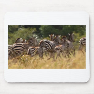 Utforma din egen vackra zebra-migreringsmara musmatta