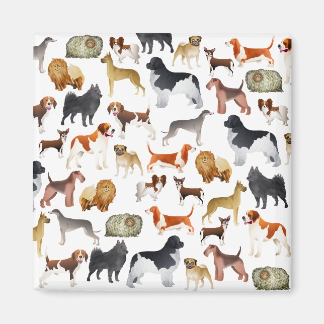 Utformning av Cute Pedigree Pet Tapet Magnet (Framsidan)