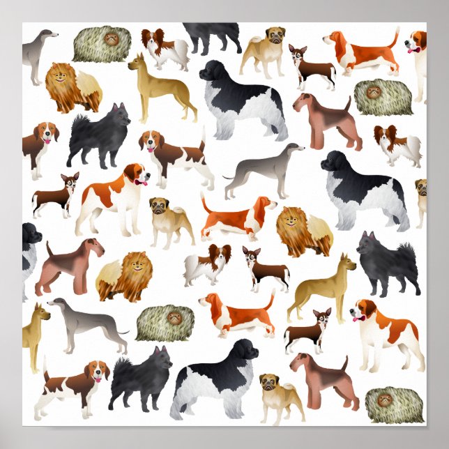 Utformning av Cute Pedigree Pet Tapet Poster (Framsidan)