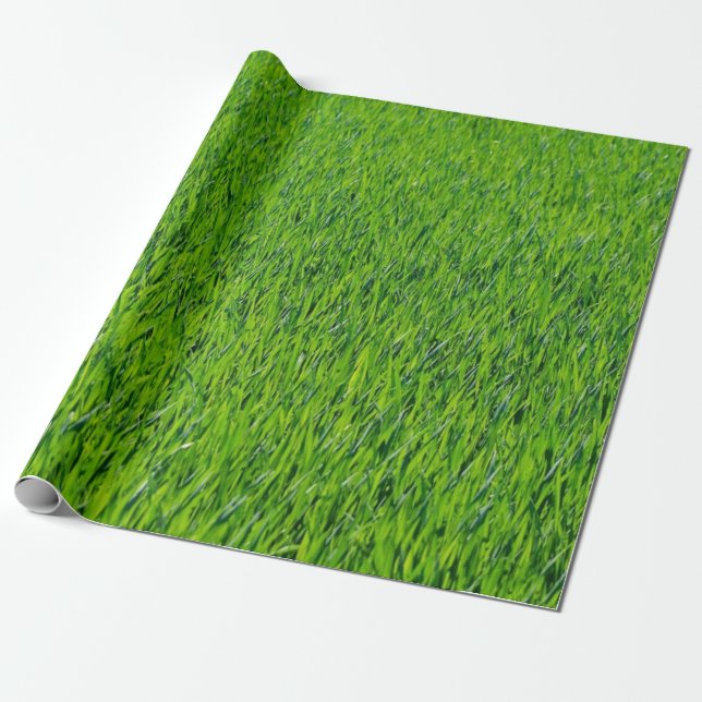 Utformning av gräs i grönt presentpapper (Utrullad)