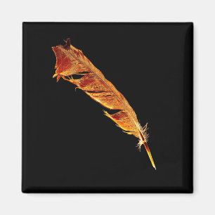 Utformning av Hetten Raven Feather Bird-älskare Kr Magnet