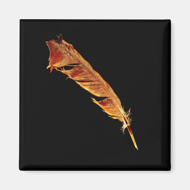 Utformning av Hetten Raven Feather Bird-älskare Kr Magnet (Framsidan)