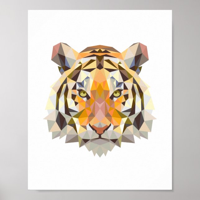 Utformning av nordisk geometrisk tiger poster (Framsidan)