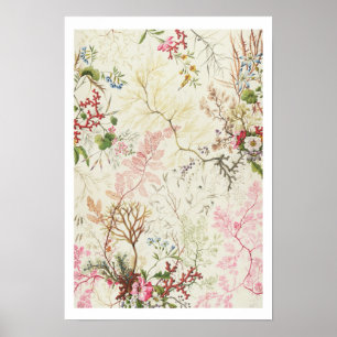 Utformning av sjögräs för silke-material (vikt/omk poster