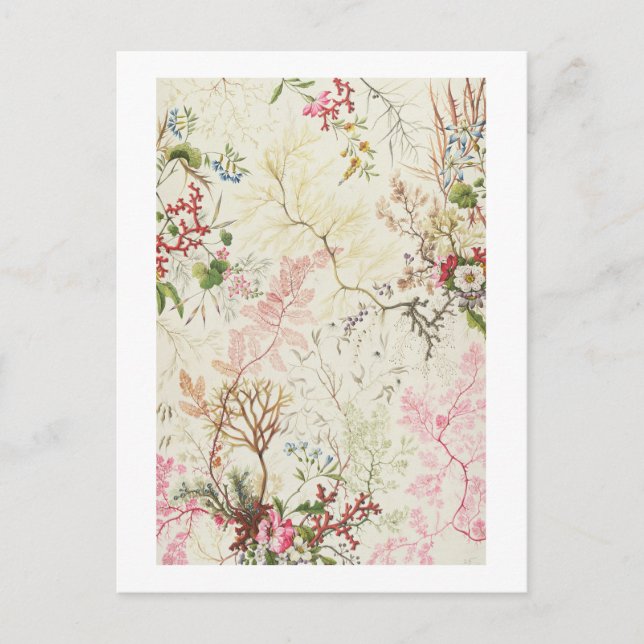 Utformning av sjögräs för silke-material (vikt/omk vykort (Framsida)