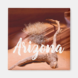Utforska Arizona Magnet