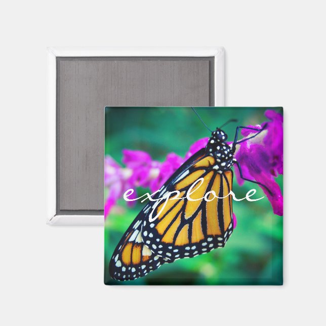 "Utforska" citattecken orange monarch butterfly-fo Magnet (Front/Back)