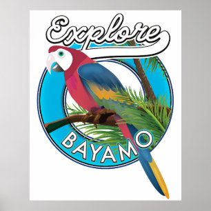 Utforska hawaii-logotyp Poster