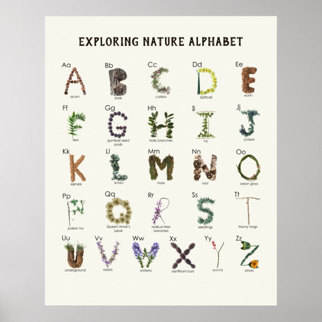 Utforska naturalfabet | Woodland ABC Nursery Poster (Framsidan)