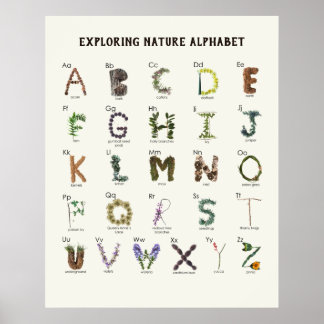 Utforska Naturens Alfabet | Skogsglanten ABC Försk Poster