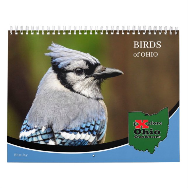 Utforska Ohio utomhus fåglar i Ohio Calendar Kalender (Omslag)