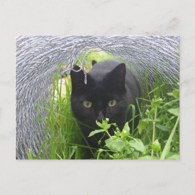 Utforska Vykort (Framsida)