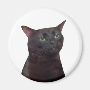 Utgående kassettmemorandumets magnet