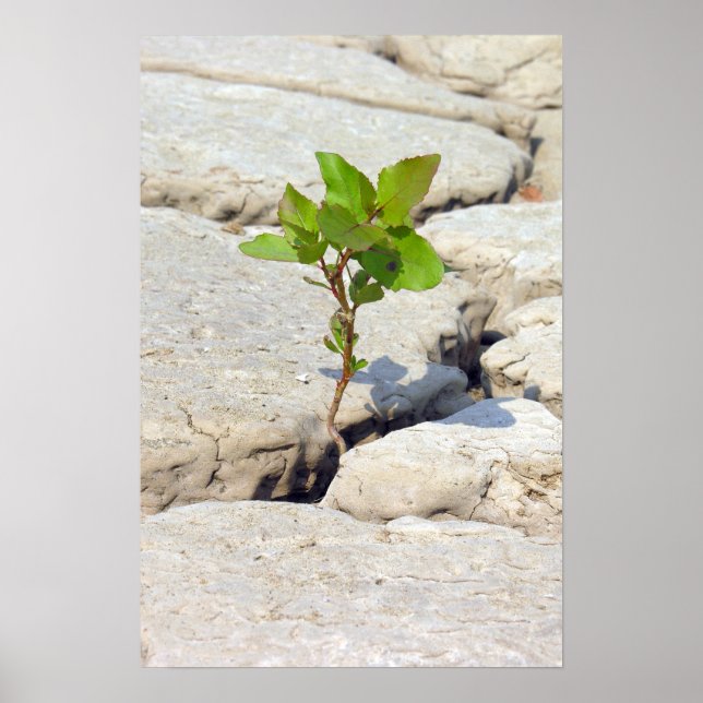 uthållighet poster (Framsidan)