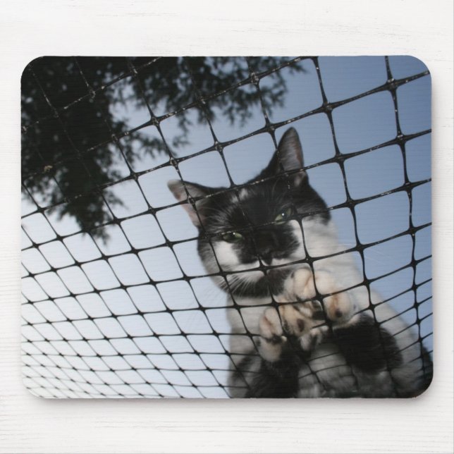 Uthärda katten på solnedgången Mousepad Musmatta (Framsidan)