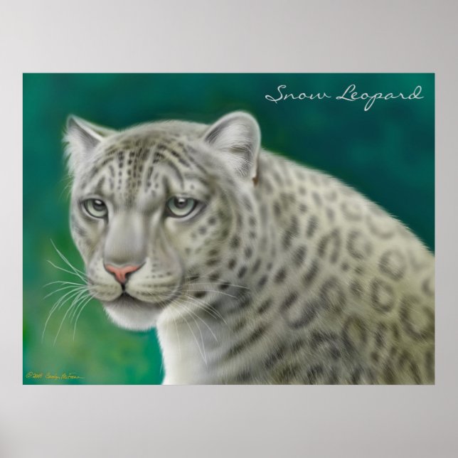 Uthotad Snö Leopard Poster (Framsidan)