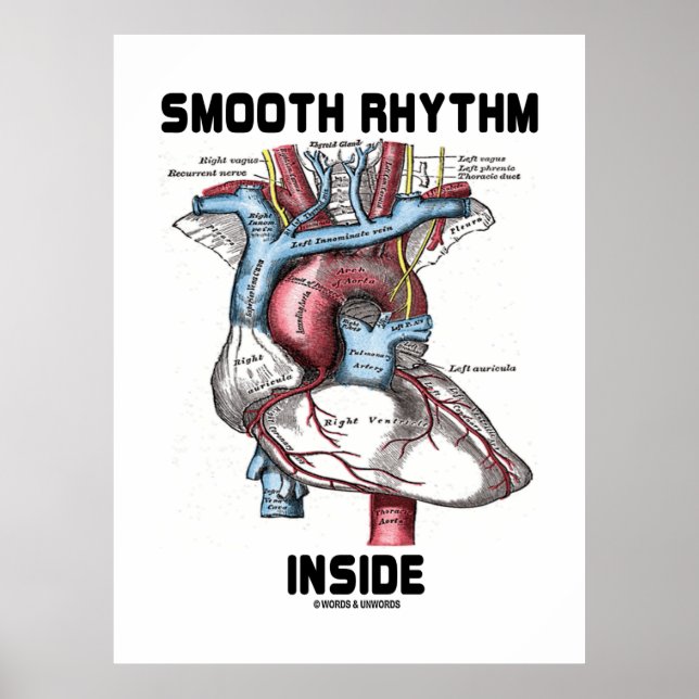 Utjämnad rytm inuti (medicinskt anatomiskt hjärta) poster (Framsidan)