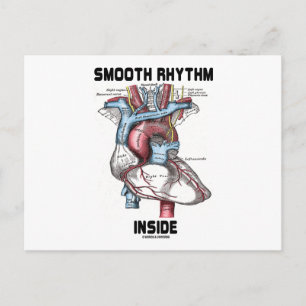 Utjämnad rytm inuti (medicinskt anatomiskt hjärta) vykort