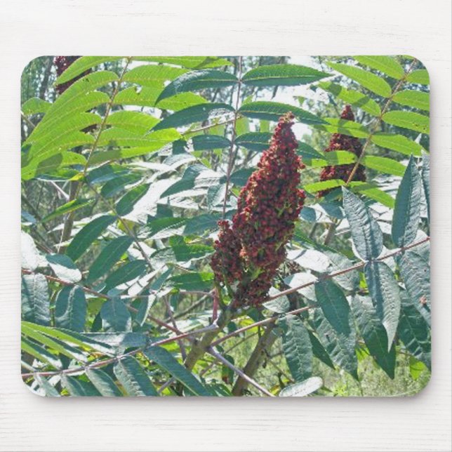 Utjämning Sumac Berries Mousepad Musmatta (Framsidan)