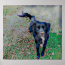 Utjämningslinje i färg med briljanta fibrer