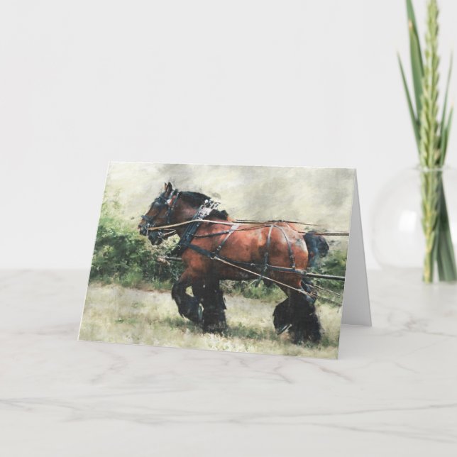 Utkast till hästlagets födelsedag kort (Framsida)