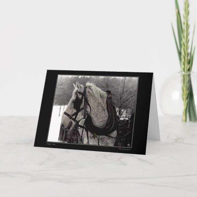 Utkastet till hälsningskort för häst kort (Framsida)