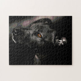 Utmana nästan alla svarta, söta Hund-pussel Pussel