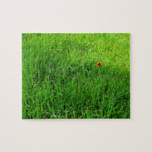 Utmanande Grönt Grass Pussel