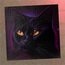 Utmanande svarta katten