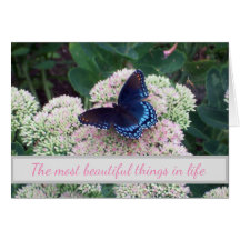 Utmaning av nya fjäril i Ställe