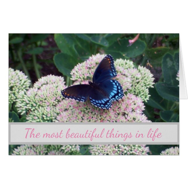 Utmaning av nya fjäril i Ställe Hälsningskort (Framsidan Horizontal)