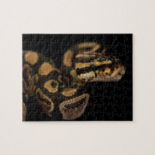Utmaning av snake Puzzle Pussel