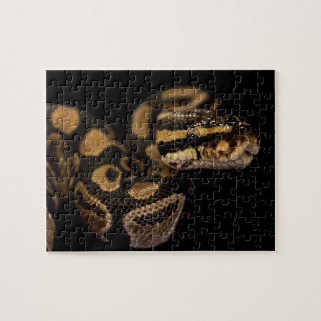 Utmaning av snake Puzzle Pussel (Horisontell)
