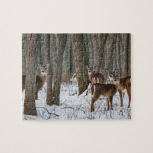 Utmaningar för Winter Hjort 10x8 Pussel